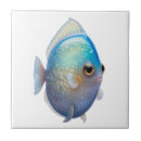 Search for blue fish tiles White