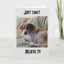 Search for veterinarian birthday cards Photography
