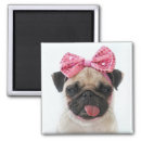 Search for pug magnets dog
