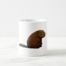 Search for beaver gifts Cute