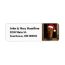 Search for horse return address labels Stable