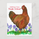 Search for rhode island postcards Farm animal