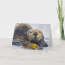 Search for otter cards Sea otters