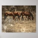 Search for vintage horse posters Decoupage