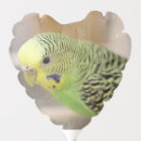 Search for budgie crafts party Parakeet