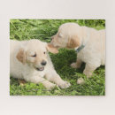 Search for yellow lab puzzles Dog lover