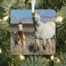 Search for horse ornaments Mare