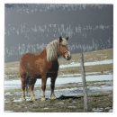 Search for horse tiles Farm