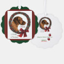 Search for vizsla christmas cards Xmas