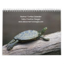 Search for turtle calendars Nature