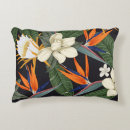 Search for magnolia pillows Background