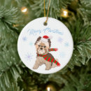 Search for yorkie ornaments Winter