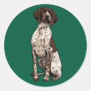 Search for german shorthaired pointer stickers Puppy