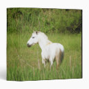 Search for horse photo binders Cowboy