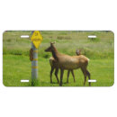 Search for elk license plates Deer