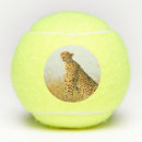 Search for cat tennis balls Animal
