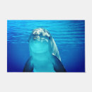 Search for dolphin gifts Marine