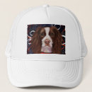 Search for springer spaniels hats English springer spaniel