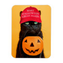 Search for halloween magnets Animal