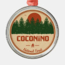 Search for phoenix ornaments Arizona