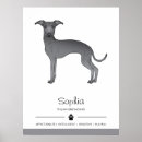 Search for italian posters Stylish