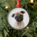 Search for pug ornaments Portrait