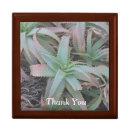 Search for succulent gift boxes Cactus