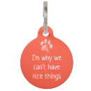 Search for dog tags puppy