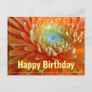 Search for orange flower happy birthday postcards Nature