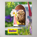 Search for cute owl art funny