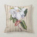 Search for magnolia pillows Illustration