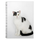 Search for cat notebooks Animal