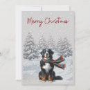 Search for bernese mountain dog christmas cards Snow