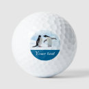 Search for penguin golf balls Antarctica