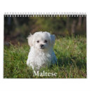 Search for maltese dog gifts Canine