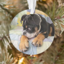Search for english bulldog ornaments Pets