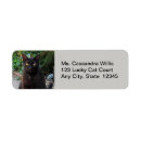Search for cat return address labels Animals