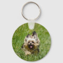Search for yorkie keychains Terrier