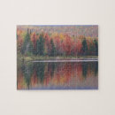 Search for vermont puzzles Forest