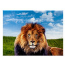 Search for lion king posters Jungle