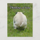 Search for rude postcards Dog
