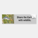 Search for bird bumper stickers Blue