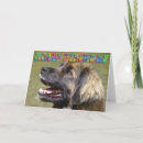 Search for leonberger Happy