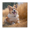 Search for pet photo tiles Keepsake