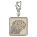 Search for chesapeake bay retriever gifts Chessie