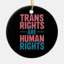 Search for transgender ornaments Lgbt