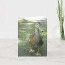 Search for duck birthday cards Nature