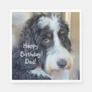Search for happy birthday poodle white Dog