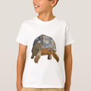 Search for tortoise tshirts Reptile