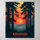 Search for vintage california posters Redwood national park